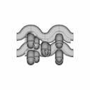 Recuperator For Cryogenic Fluid (Design On Progress) - Standard Mechanical Component_0_0_degree_snapshot