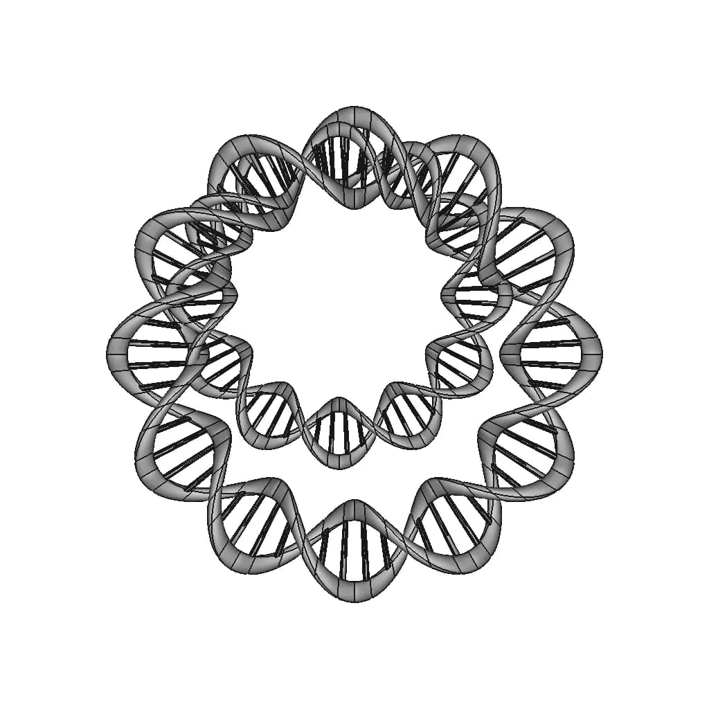 Dna Ring - Standard Mechanical Component_0_0_degree_snapshot