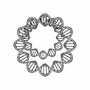 Dna Ring - Standard Mechanical Component_0_0_degree_snapshot