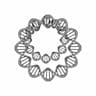 Dna Ring - Standard Mechanical Component_0_0_degree_snapshot