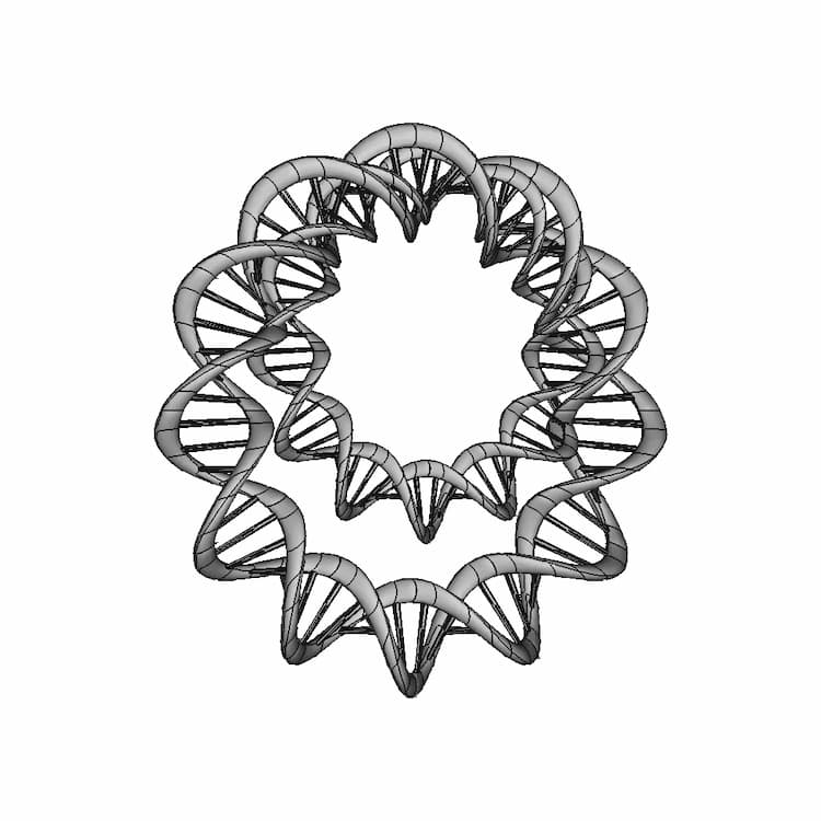 Dna Ring - Standard Mechanical Component