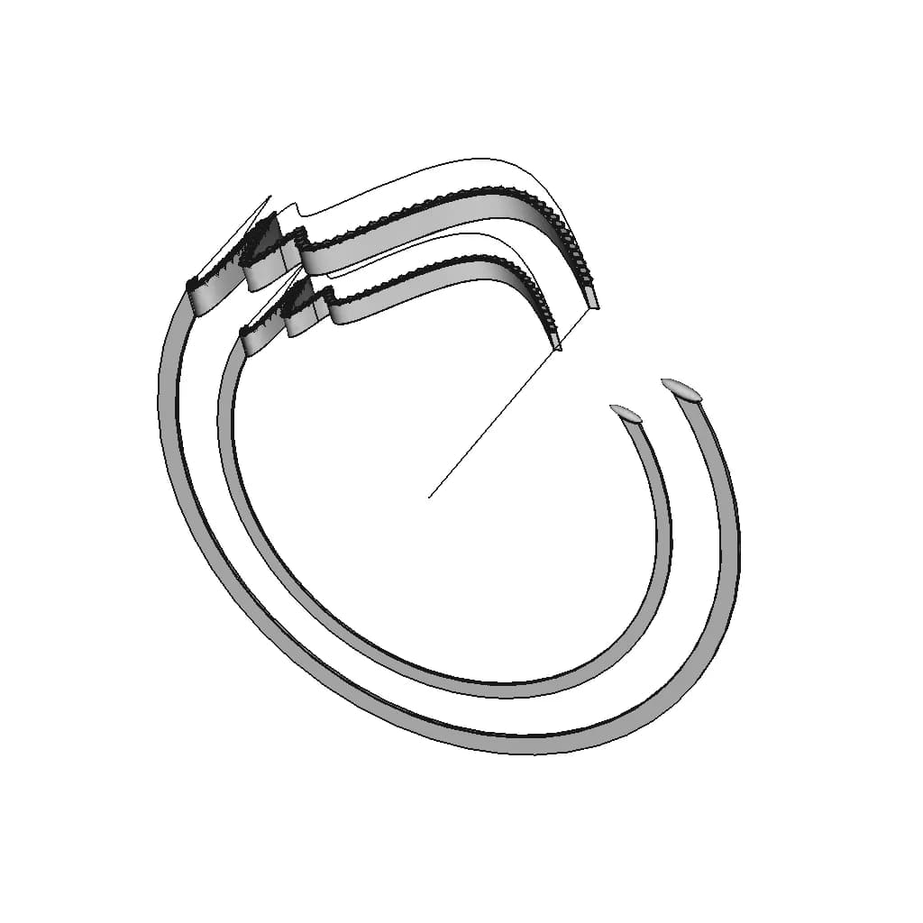 Smooth Heartline Ring - Downloadable CAD Representation_60_30_degree_snapshot