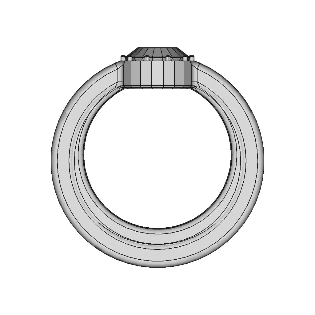 Ruby Wedding Band For The Wife | High-Quality CAD Model_0_0_degree_snapshot