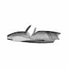 Flying Roadster - Standard Mechanical Component_0_90_degree_snapshot