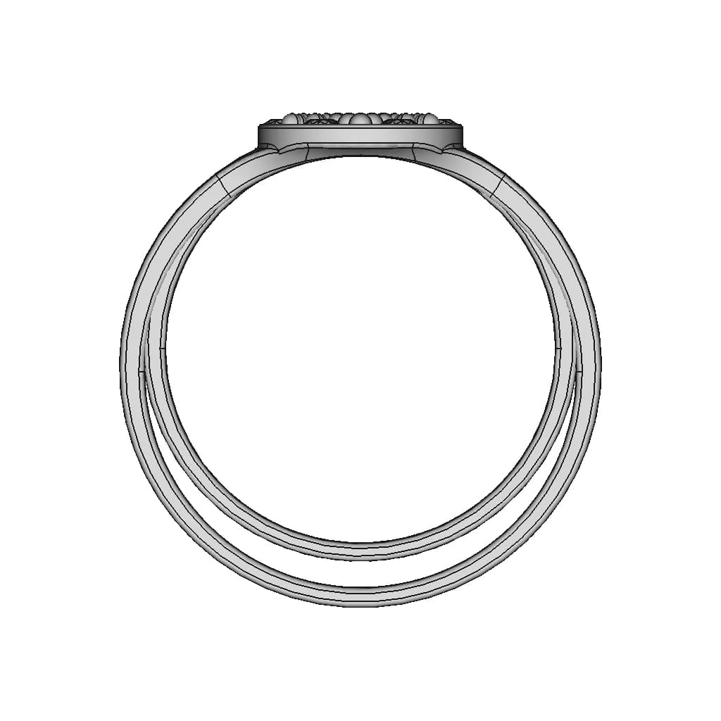 Ladies Ring | 3D Engineering Design File_0_0_degree_snapshot