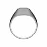 Ring | High-Quality CAD Model_0_270_degree_snapshot