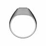 Ring | High-Quality CAD Model_0_90_degree_snapshot