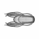 Dragon Head - Standard Mechanical Component_90_0_degree_snapshot