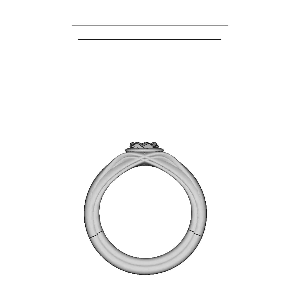 Fiancée Ring | 3D Engineering Design File_0_0_degree_snapshot