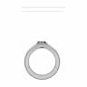 Fiancée Ring | 3D Engineering Design File_0_0_degree_snapshot