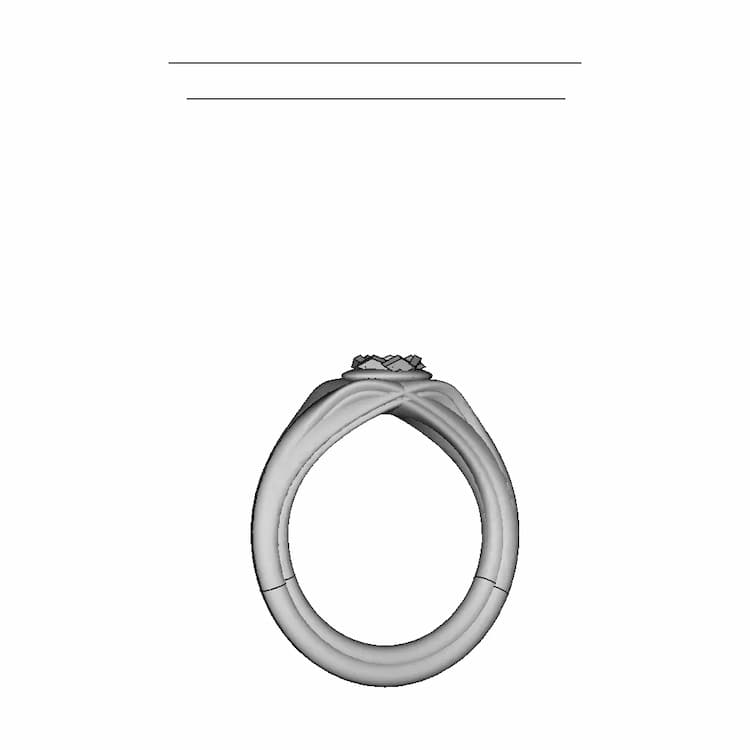 Fiancée Ring | 3D Engineering Design File
