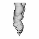 Molly - Standard Mechanical Component_270_0_degree_snapshot