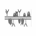 Small Mixer Axel | High-Quality CAD Model_0_270_degree_snapshot