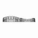 Upper Jaw Teeth / Alt Üst Çene Diş Dental - Dent - Standard Mechanical Component_0_0_degree_snapshot