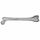 Femur Bone - Downloadable CAD Representation_0_0_degree_snapshot