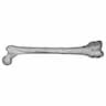 Femur Bone - Downloadable CAD Representation_0_0_degree_snapshot