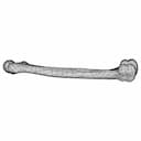 Femur Bone - Downloadable CAD Representation_270_0_degree_snapshot