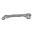 Femur Bone - Downloadable CAD Representation_60_30_degree_snapshot