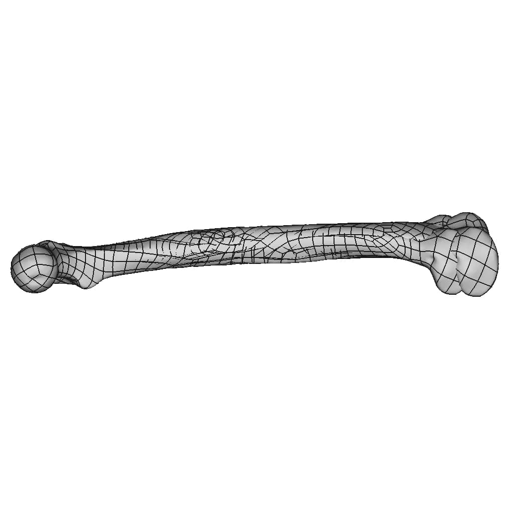 Femur Bone - Downloadable CAD Representation_90_0_degree_snapshot