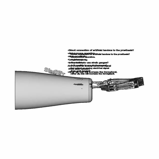Sl_St Muscule-Tendon-Prosthesis-00 | High-Quality CAD Model