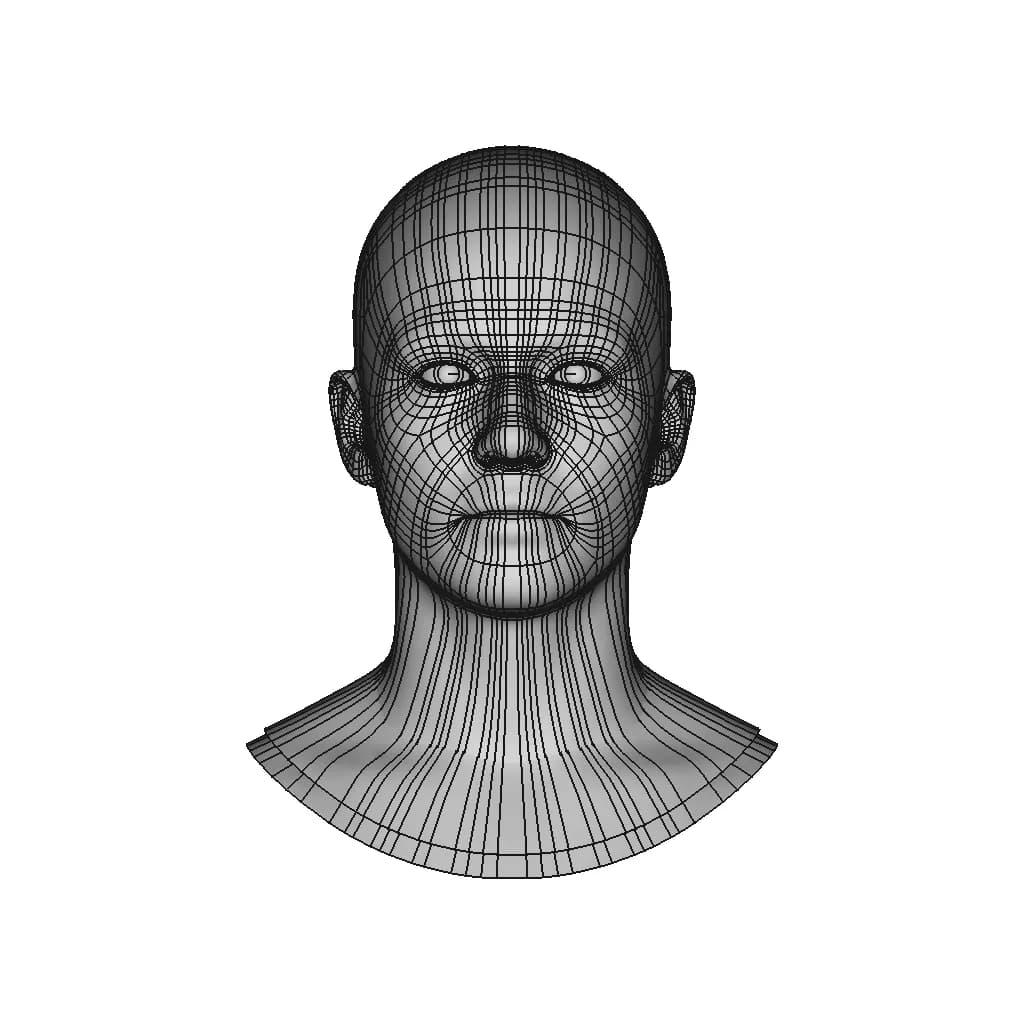 Generic Human Head | 3D Engineering Design File_0_0_degree_snapshot