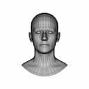 Generic Human Head | 3D Engineering Design File_0_0_degree_snapshot