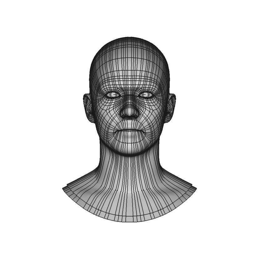 Generic Human Head | 3D Engineering Design File