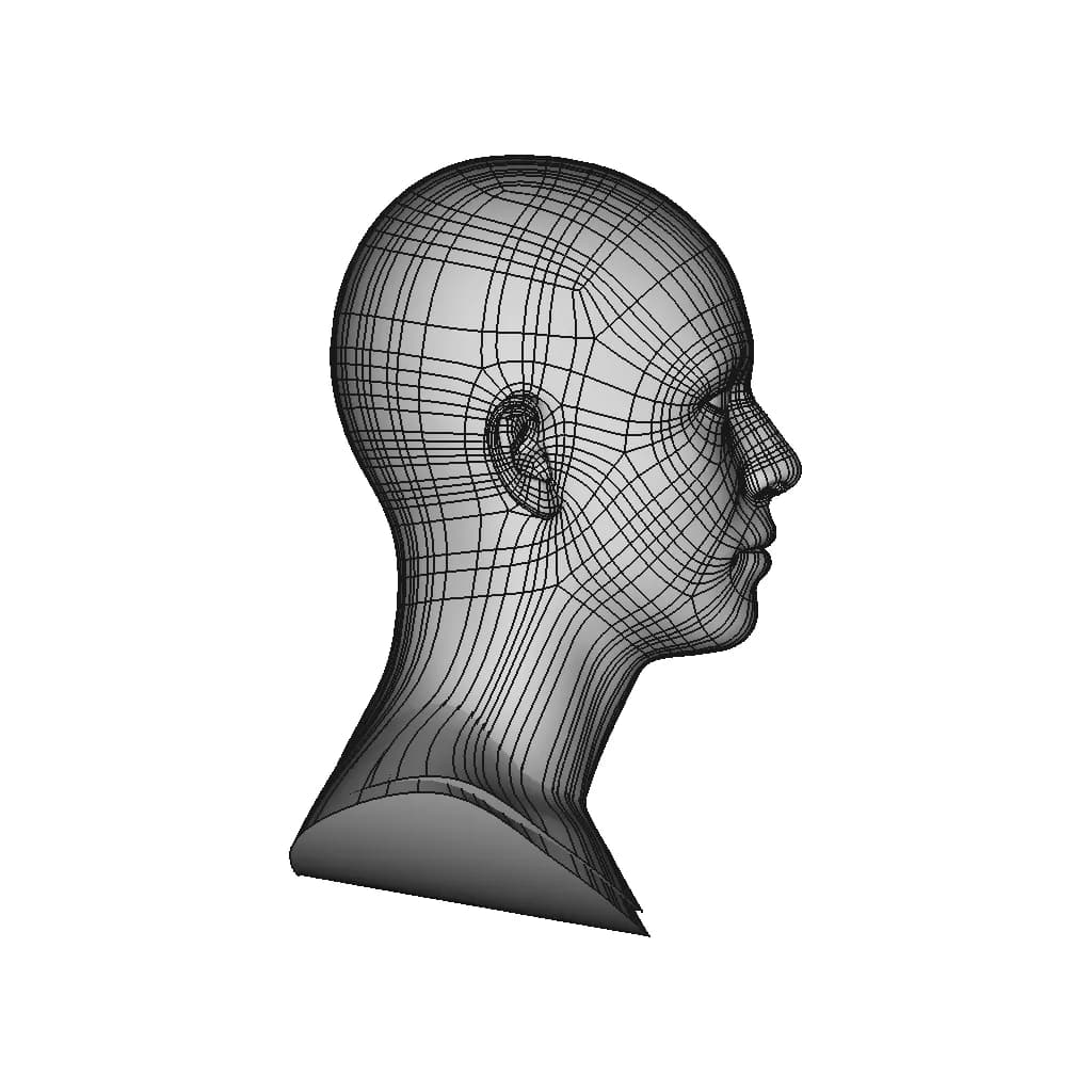 Generic Human Head | 3D Engineering Design File_0_270_degree_snapshot