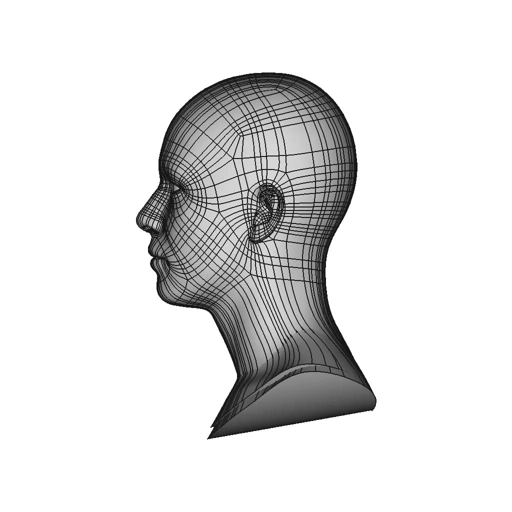 Generic Human Head | 3D Engineering Design File_0_90_degree_snapshot