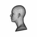 Generic Human Head | 3D Engineering Design File_0_90_degree_snapshot