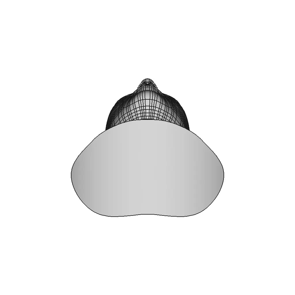 Generic Human Head | 3D Engineering Design File_90_0_degree_snapshot