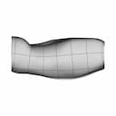 Scoliosis - Downloadable CAD Representation_0_270_degree_snapshot