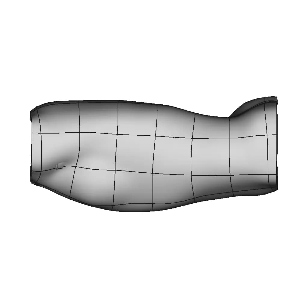 Scoliosis - Downloadable CAD Representation_0_90_degree_snapshot