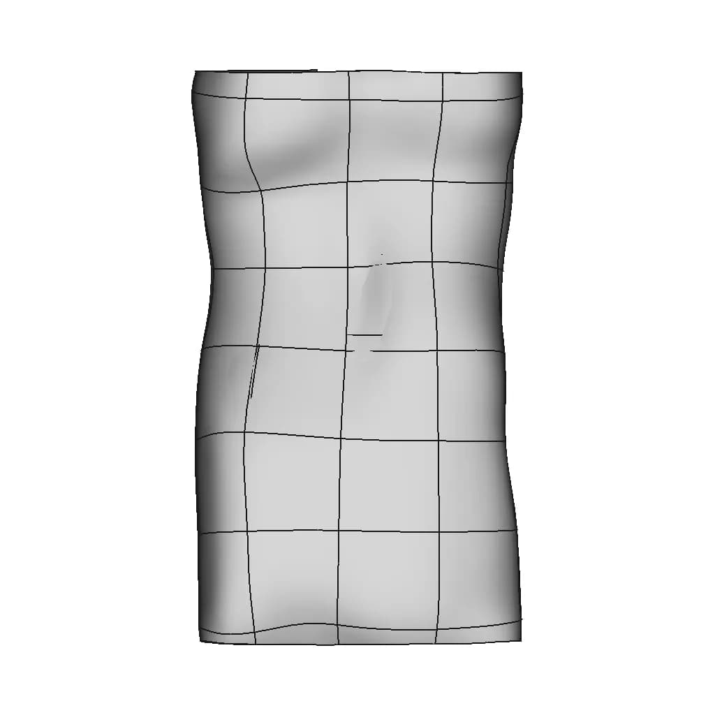 Scoliosis - Downloadable CAD Representation_270_0_degree_snapshot