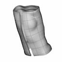 Scoliosis - Downloadable CAD Representation_60_30_degree_snapshot