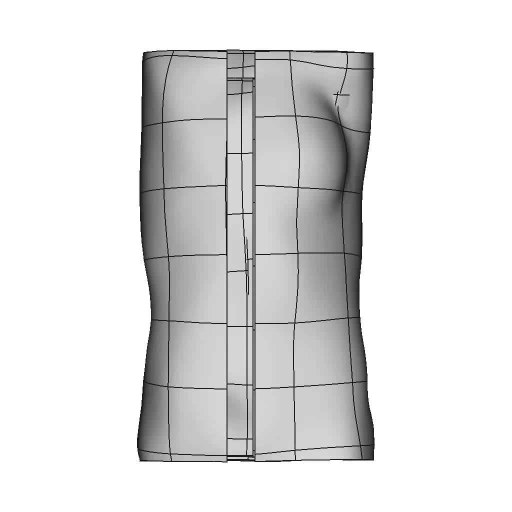 Scoliosis - Downloadable CAD Representation_90_0_degree_snapshot