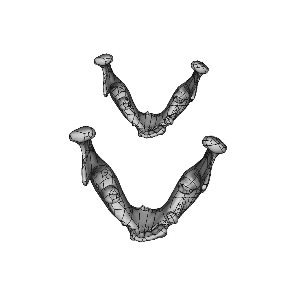 Skull - Downloadable CAD Representation_0_0_degree_snapshot
