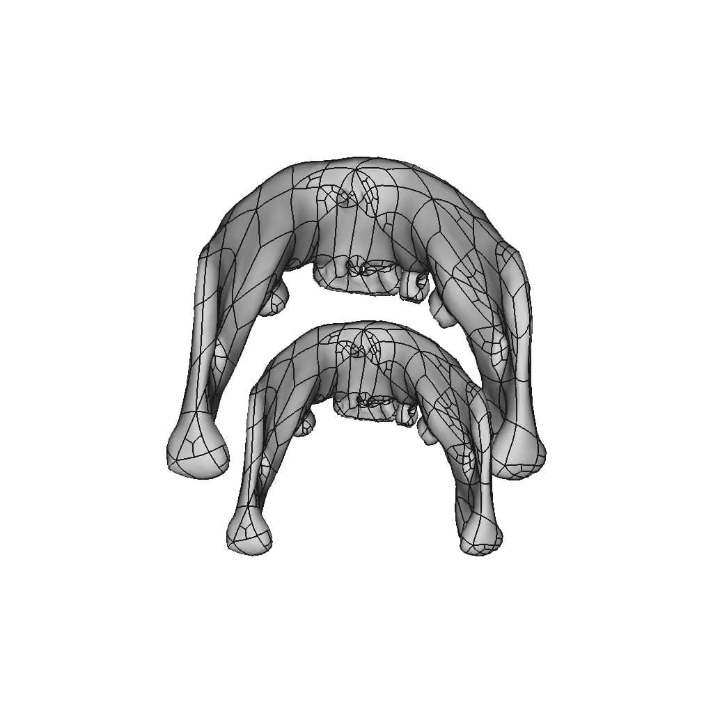 Skull - Downloadable CAD Representation_270_0_degree_snapshot