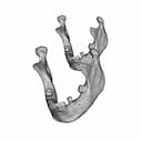Skull - Downloadable CAD Representation_60_30_degree_snapshot