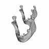 Skull - Downloadable CAD Representation_60_30_degree_snapshot