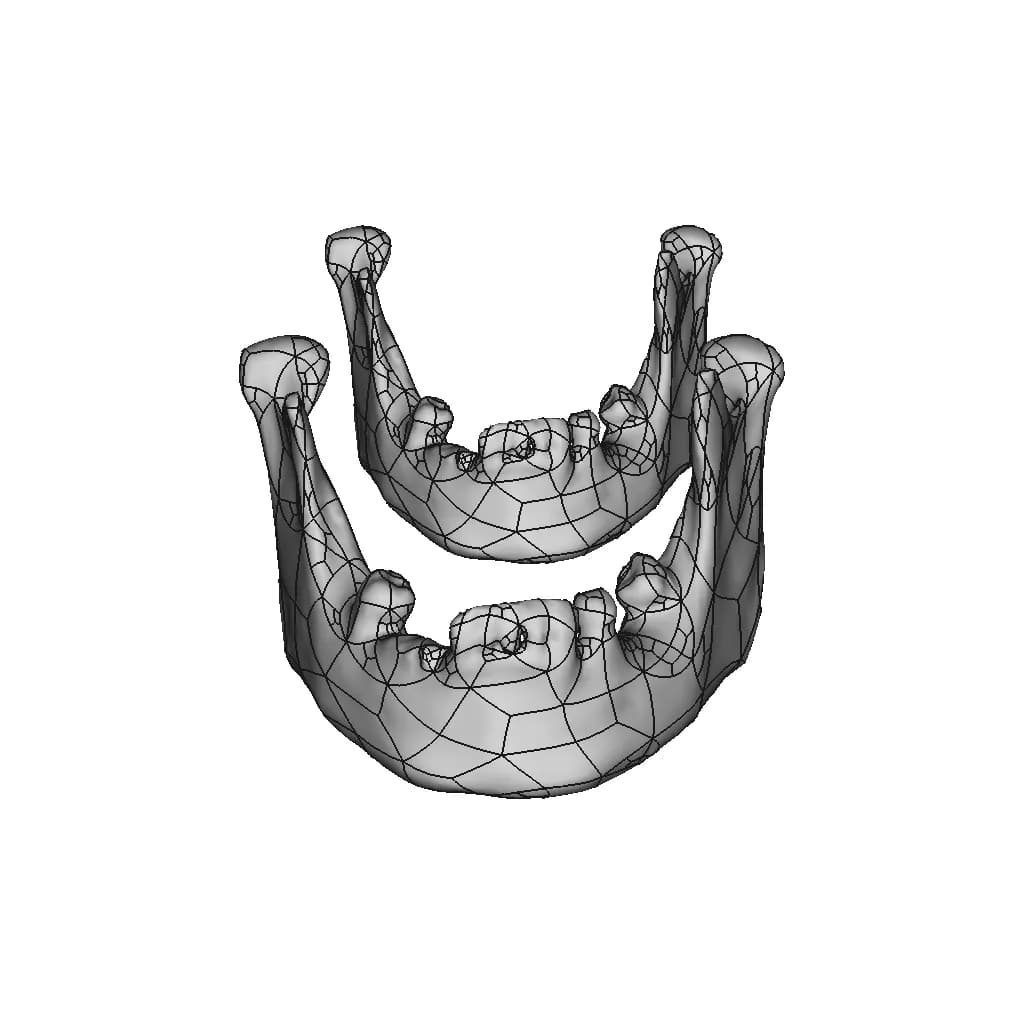 Skull - Downloadable CAD Representation_90_0_degree_snapshot