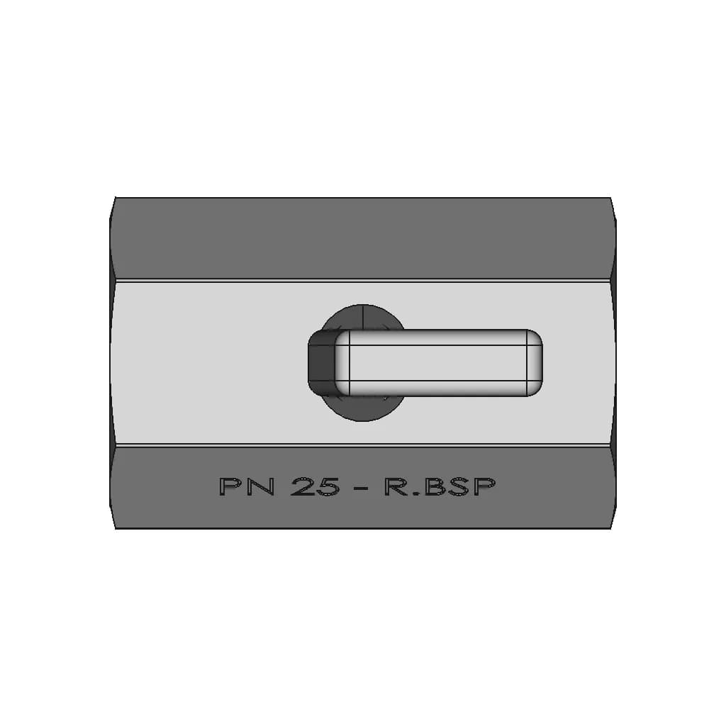 Pn-25 - Dn.1 - Mini Ball Valve - F.F - R.Bsp - Inox 304 | 3D Engineering Design File_270_0_degree_snapshot