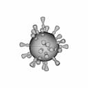 Corona Virus Simulation | High-Quality CAD Model_270_0_degree_snapshot