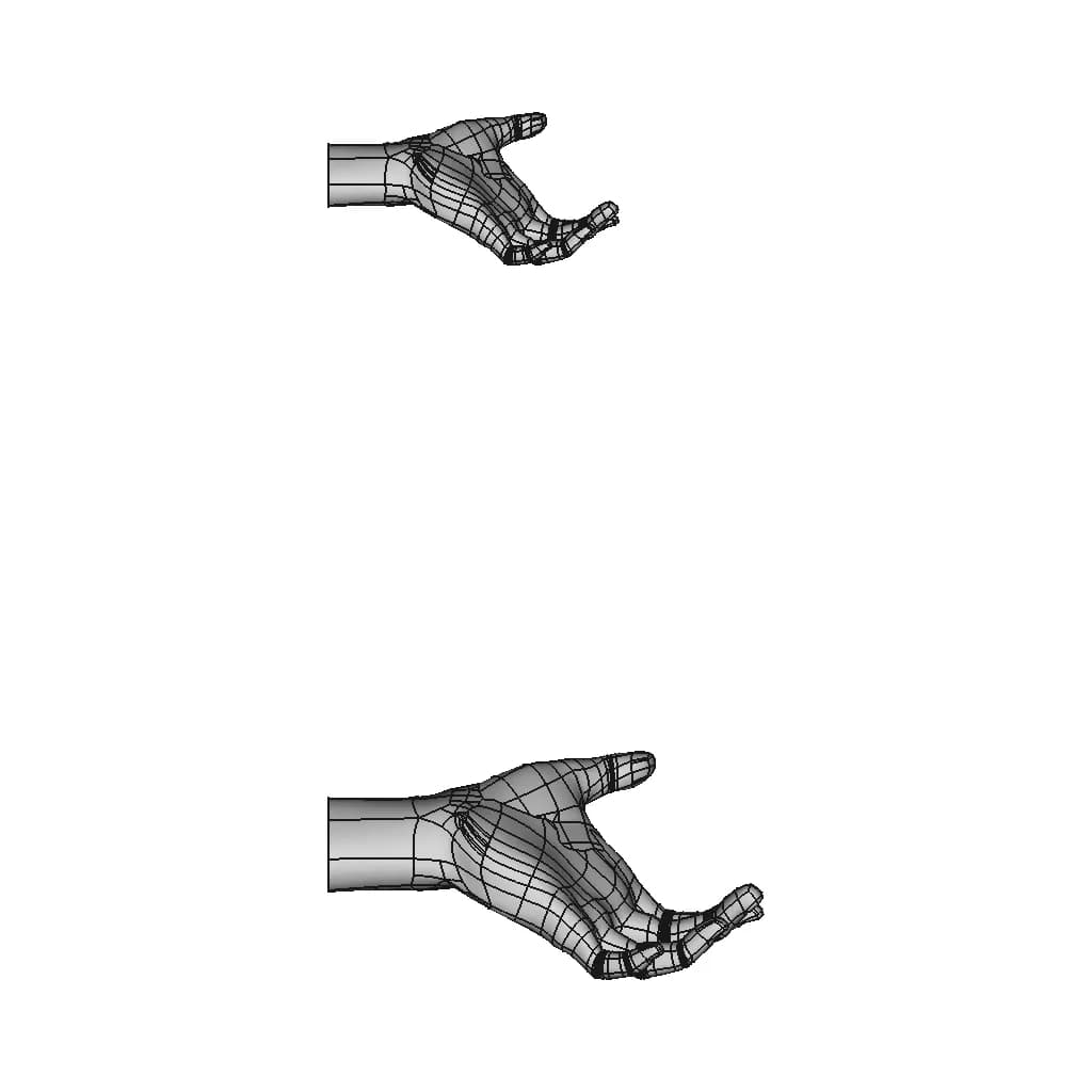 Human Hand Main Humaine | 3D Engineering Design File_0_270_degree_snapshot