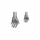 Human Hand Main Humaine | 3D Engineering Design File_270_0_degree_snapshot