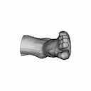 Scanned Foot - Downloadable CAD Representation_0_90_degree_snapshot