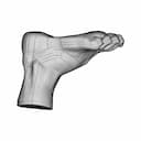 Scanned Foot - Downloadable CAD Representation_270_0_degree_snapshot