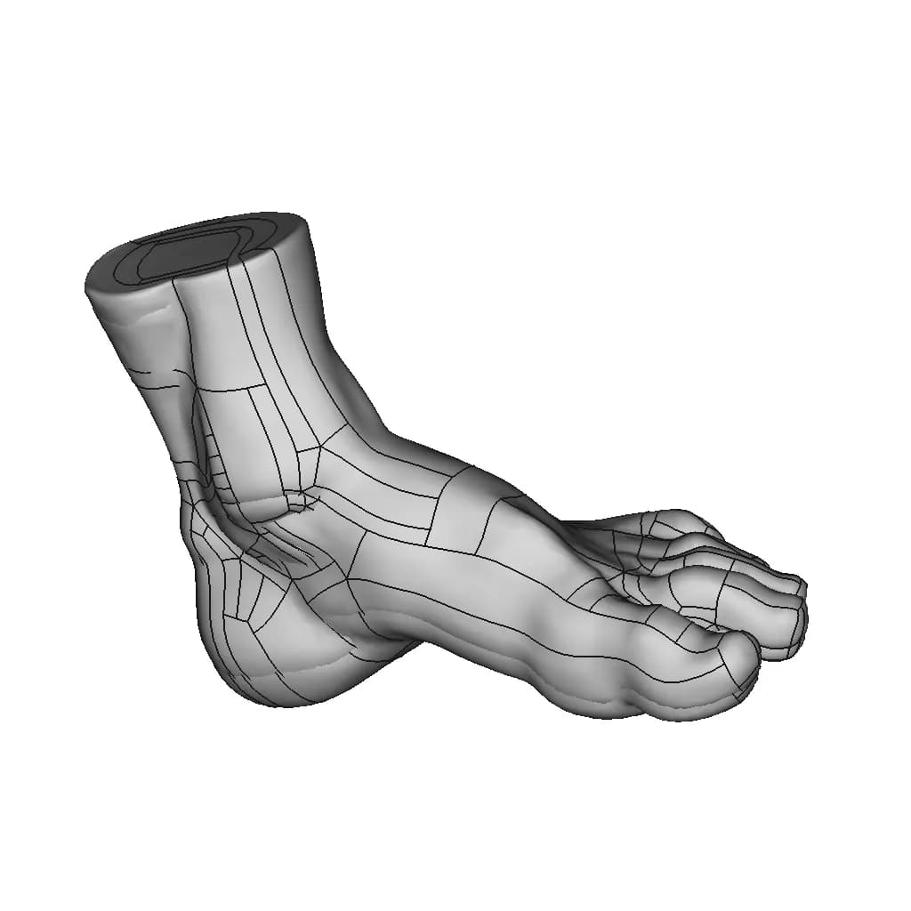Scanned Foot - Downloadable CAD Representation_60_30_degree_snapshot