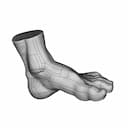 Scanned Foot - Downloadable CAD Representation_60_30_degree_snapshot
