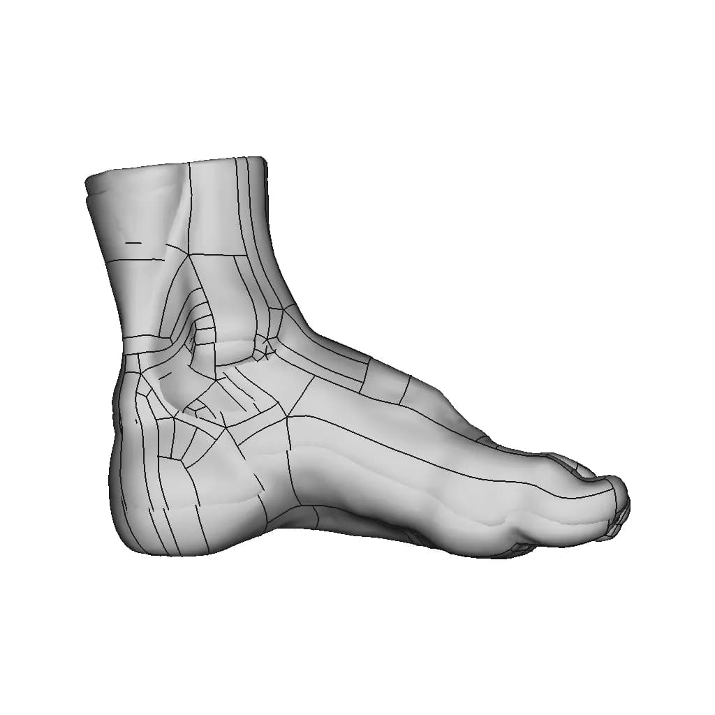 Scanned Foot - Downloadable CAD Representation_90_0_degree_snapshot